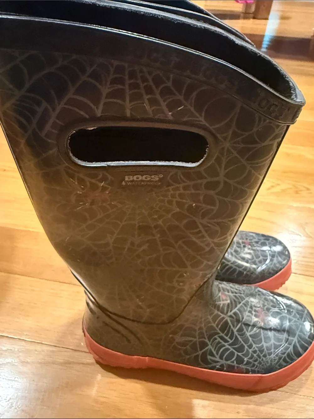 Bogs boys spiders